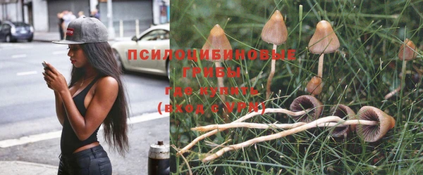 ешки Алзамай
