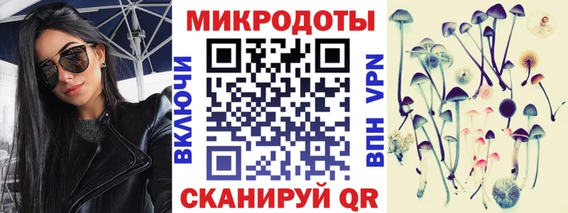 Галлюциногенные грибы Psilocybine cubensis Тверь